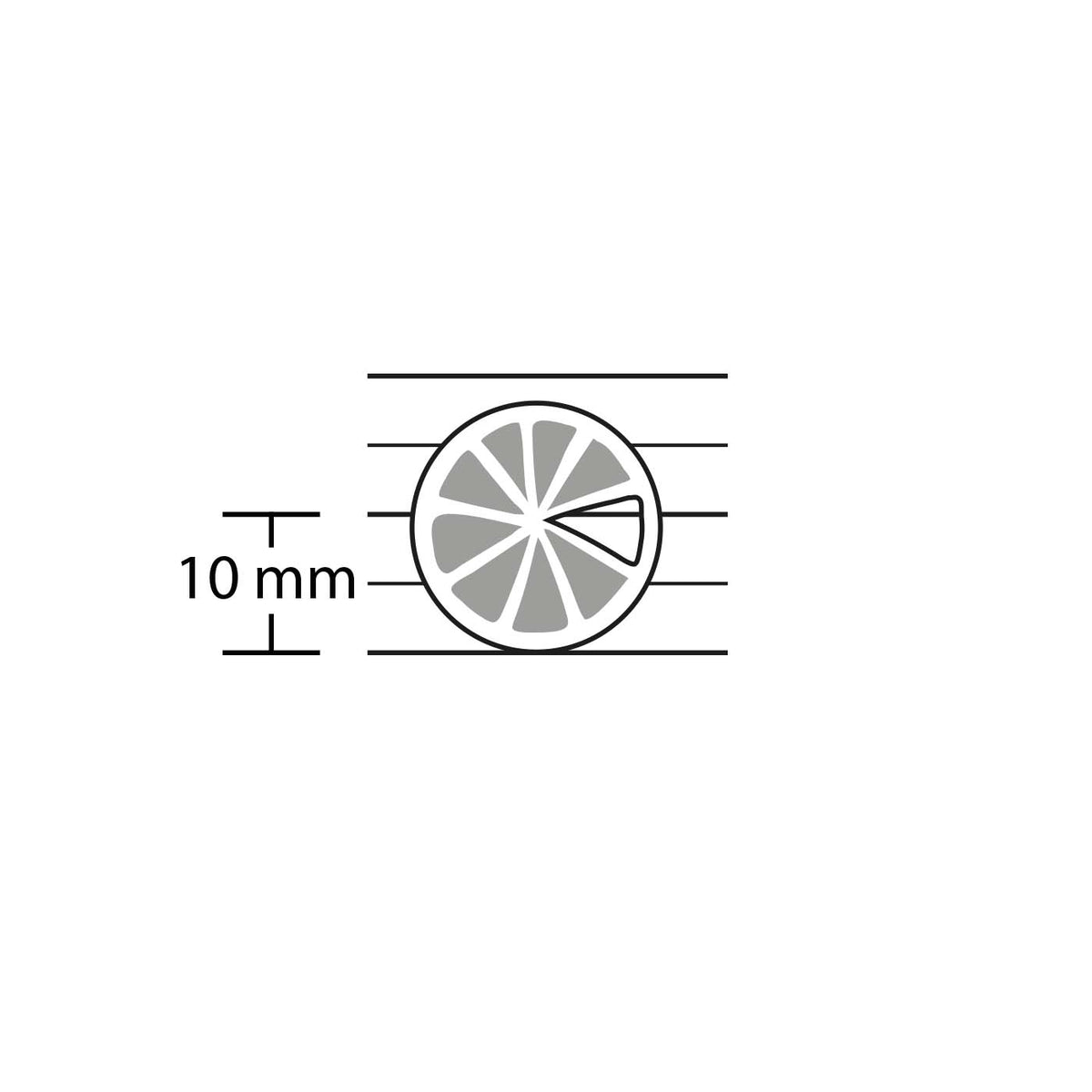 Lot de 6 pampilles à customiser RONDELLE CITRON en bois éco-responsable, fabriqué en France